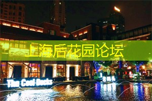 爱上海：心仪对象指的是什么