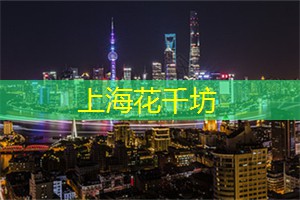 上海后花园变身露天音乐会场,让你置身于动感音乐的狂欢! 上海后花园变身露天音乐会场,让你置身于动感音乐的狂欢!