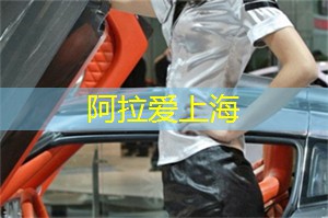 揭秘上海后花园:你从未见过的绿色天堂! 揭秘上海后花园:你从未见过的绿色天堂!