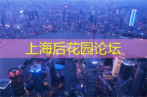 雨中求生 雨中求生