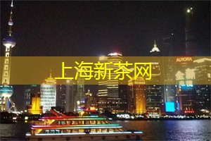 卑微的承诺 卑微的承诺